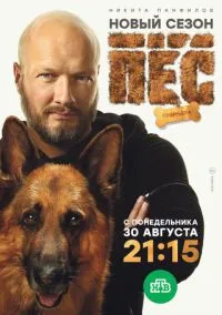 Пёс 1-7 сезон смотреть онлайн на Лордфильм онлайн